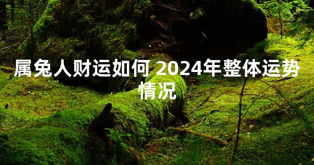 属兔人财运如何 2024年整体运势情况